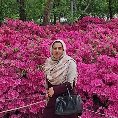 azadehebra28358's profile picture