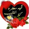 samer elkhouly's profile picture
