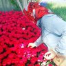 Sevilسویل 🇹🇷 🏹 Dm yok🚫's profile picture