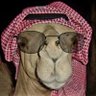 Фото профиля مايسترو الاهلي ~ كبير آسيا