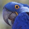 Coïncidence ? Je ne crois pas 🙊🙈🐒 profil fotoğrafı
