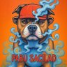 PABU SACILAD profil fotoğrafı