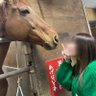 🐴 的头像