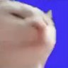 Profilbild von KK