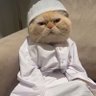 General's profile picture