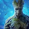 Groot's profile picture