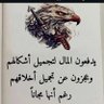 hamed's profile picture