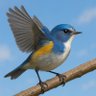 Фото профиля blue bird🌾RICE☀️🇹🇩
