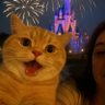 Rick Yuan's profile picture