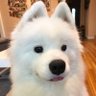 thana_ponn's profile picture