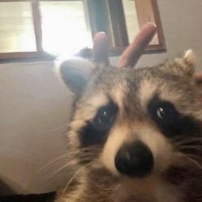 teram2x's profile picture