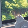 PoorCharlie's profile picture