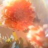 て's profile picture