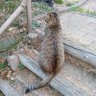 くんとも profil fotoğrafı