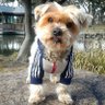 HIDEKO K's profile picture