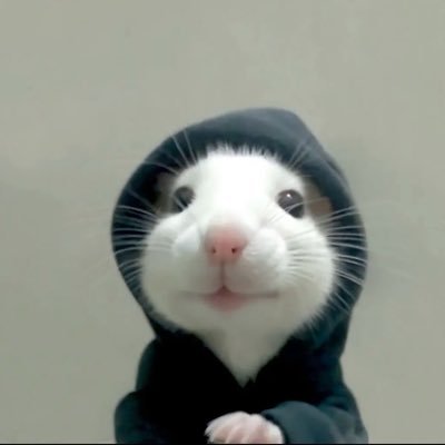 furfoor4's profile picture