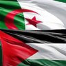 Miloud Miloud's profile picture