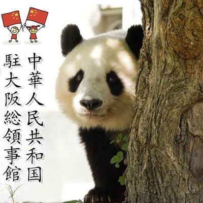 中華人民共和国駐大阪総領事館's profile picture