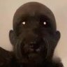 Profilbild von p
