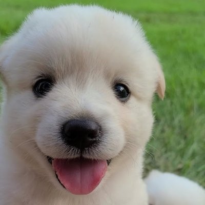 낙타의눈물's profile picture