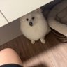 魔力勇's profile picture
