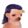 Profilbild von Gheed