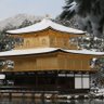 Фото профиля しろがね