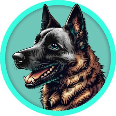 KONAN of Kaspa's profile picture