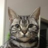 Фото профиля こなた