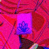 fancho 的头像