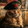PushkaMao's profile picture