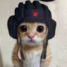 Profilbild von Ярослав
