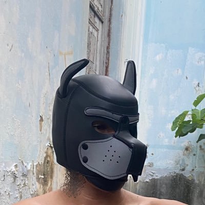 putoxxll's profile picture