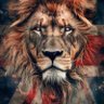 Profilbild von Michael Hazel