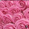 Profilbild von ✨همس✨