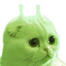 😺clorp👽 的头像