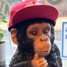 ヤンシ⛳️⚾️'s profile picture
