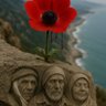 زيركون profil fotoğrafı