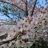 Фото профиля ぽー
