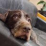 Martin Ward's profile picture