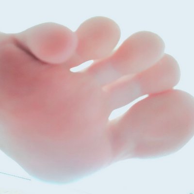 Ari Taylor's profile picture