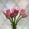Mimi profil fotoğrafı