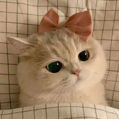 bgbngggd's profile picture