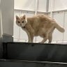 Фото профиля たこあげ