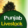 Фото профиля District Focal Person SPMS 9211 Nankana Sahib
