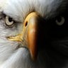 OVERFLØW ∞'s profile picture
