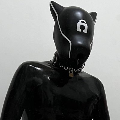 gouxiaozhi's profile picture