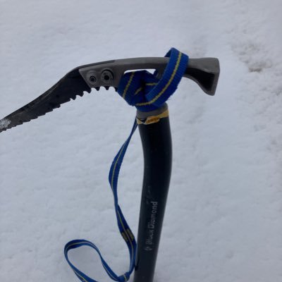 OxPFdgOfRz6lmox's profile picture