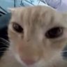 菜徐坤 profil fotoğrafı