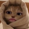 ikeyy's profile picture